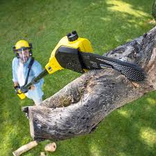 Lawn Watering Services in Apple Mountain Lake, VA